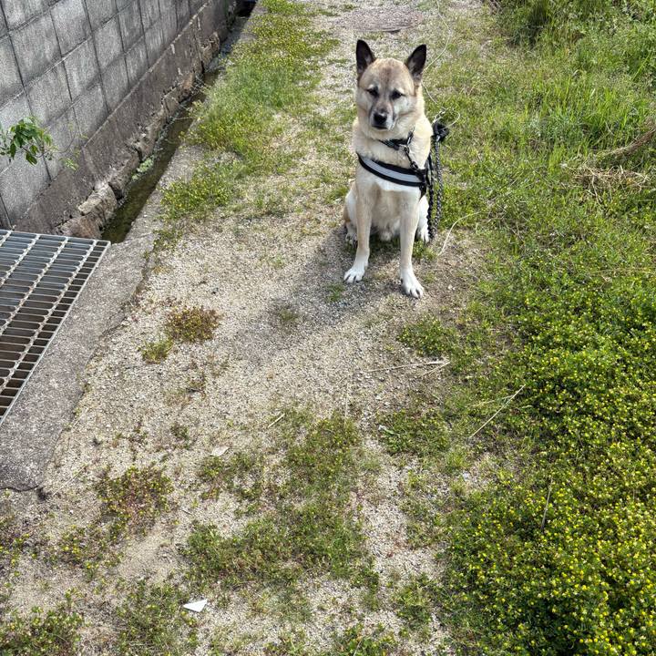 67ea05af 5c62 4314 9dbe e4b54d6ba534 1746266797310