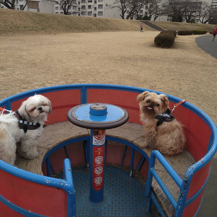 67ea4cc5 2f3f 4fc0 938a ed0c1ca61ba0 1610427665627