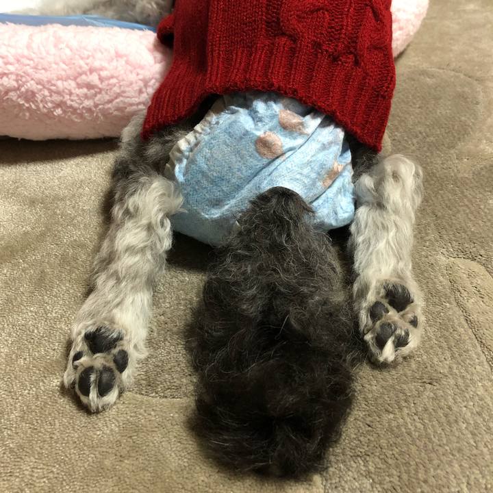 67eaa438 392b 4ee7 bdd1 a5ae916654ea 1669677601487