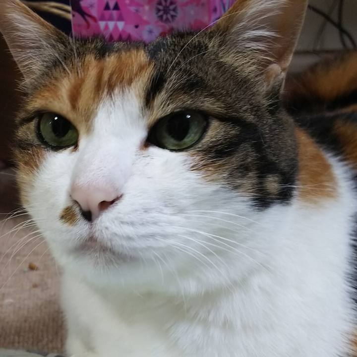 67eab7a6 d9b9 477c a681 0e2940df3ebd 1555932216025