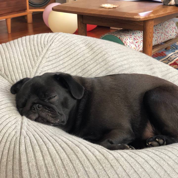 67eab884 93aa 4a0f 8d97 0b4c91440883 1617185755950