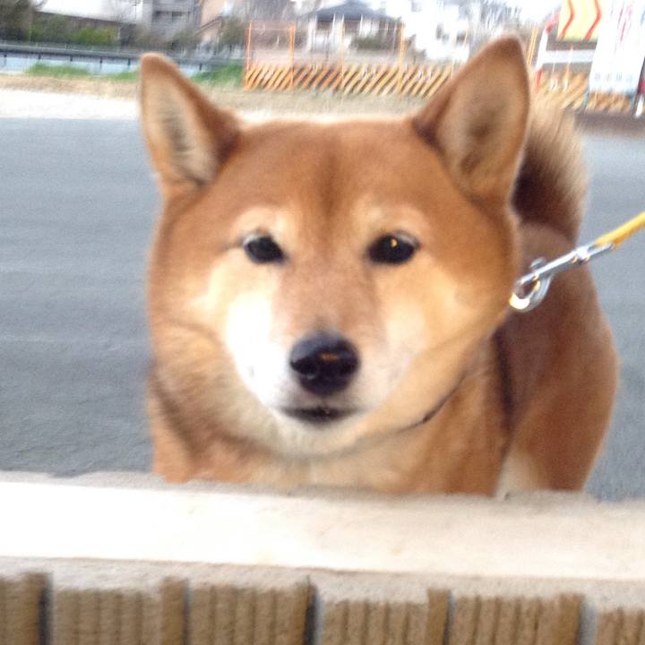 67eabaf3 f3c3 4ae9 b575 f0b82f5b4850 1552640017104