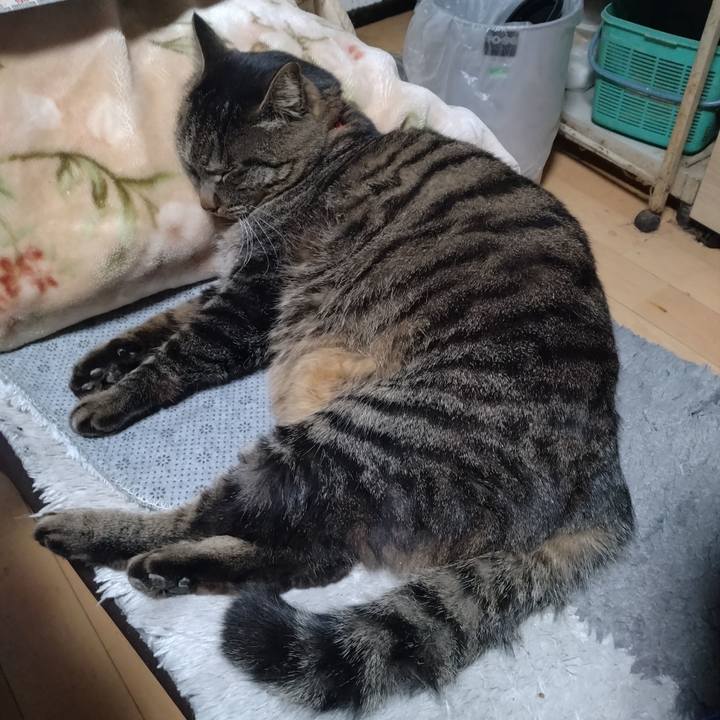 67eaebd6 0674 4931 80b6 6a851b2161e6 1672179976103