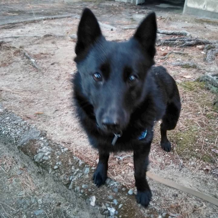 67eaf518 cc10 4135 842e 329e250807a1 1549059381763