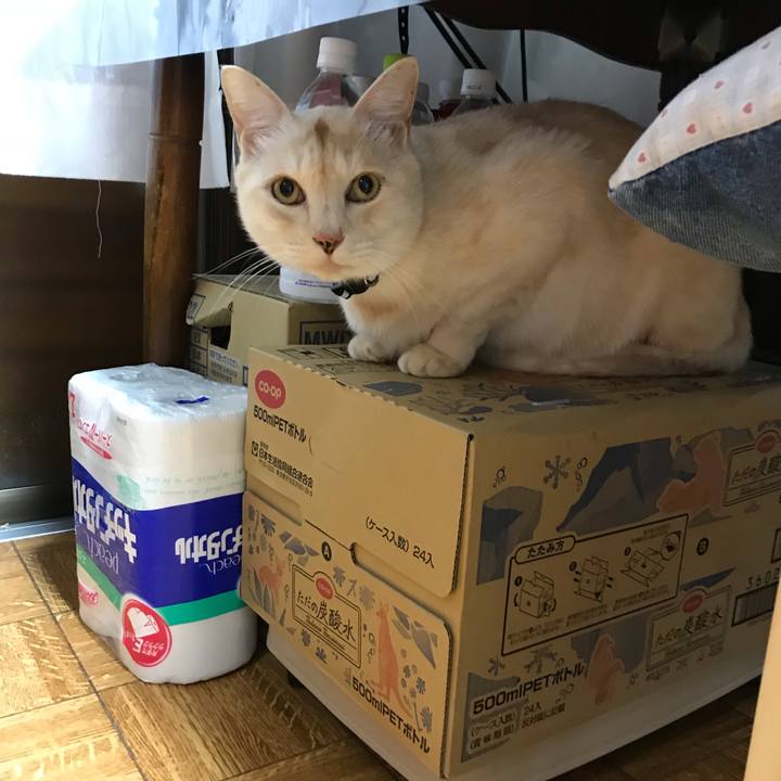 67eb22b8 c0df 44c1 aa3e bee9700c69dc 1540327199259