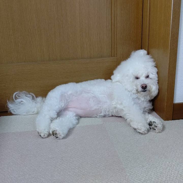 67eb299b ddce 4cb7 9752 10573f838141 1628577364957