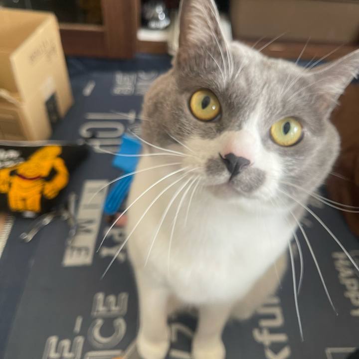 67eb35fd aa91 41ad b025 51115dc50109 1700357936361