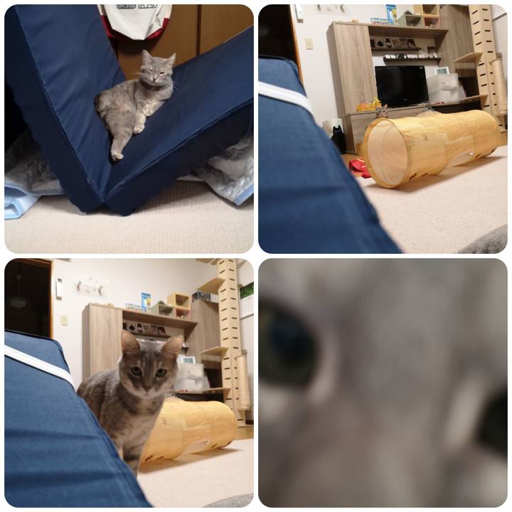 67eb3991 5ff7 443f 9466 295947ceb26a 1557064846958