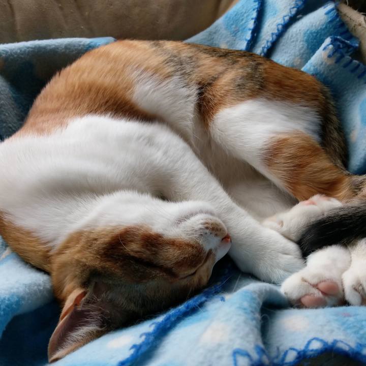 67eb75c5 ae2f 4435 8137 61b59b23e9d6 1550621032811