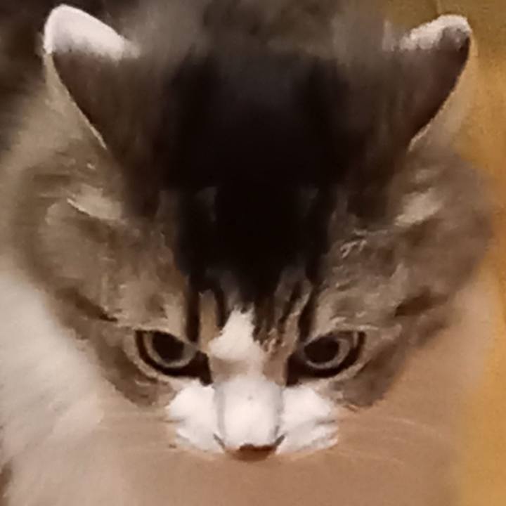 67ebad82 a47a 46df 9b28 6b1eceb72be8 1614895199166