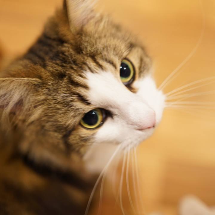 67ebbacf 1b60 48f6 abd2 d88ac6f69864 1592483388080