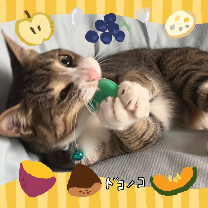 67ebcb69 a4b3 4680 96c5 a58318d8b2e4 1727322366314