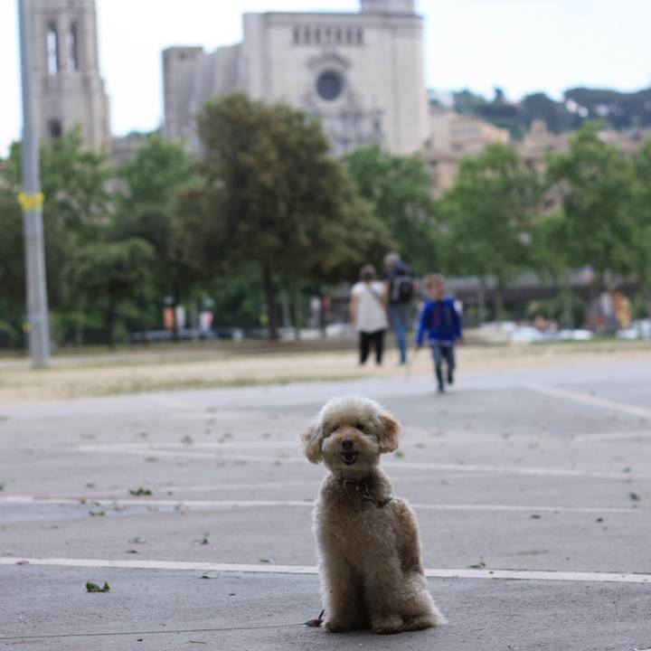 67ebd747 f83e 4930 bb40 9772e0f81a26 1527015684456