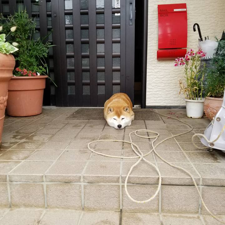 67ebe1d4 02a2 4739 b18a 517548f93e3e 1621209115022