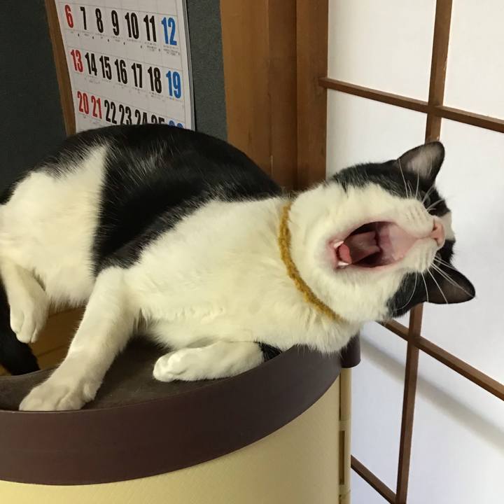 67ec0e0d 5000 4ea1 874d c90522ffee88 1646437599408