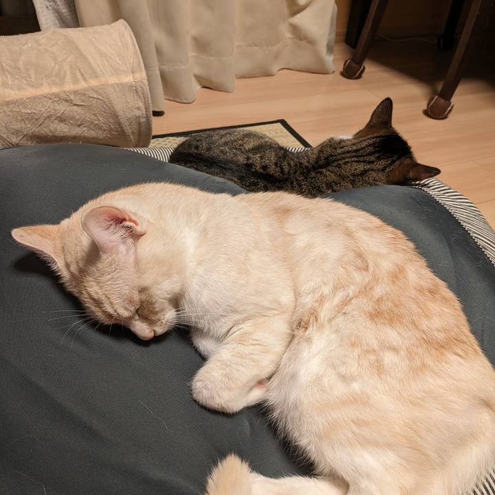 67ec140a e549 4944 86c0 2f8a86127420 1691752777140