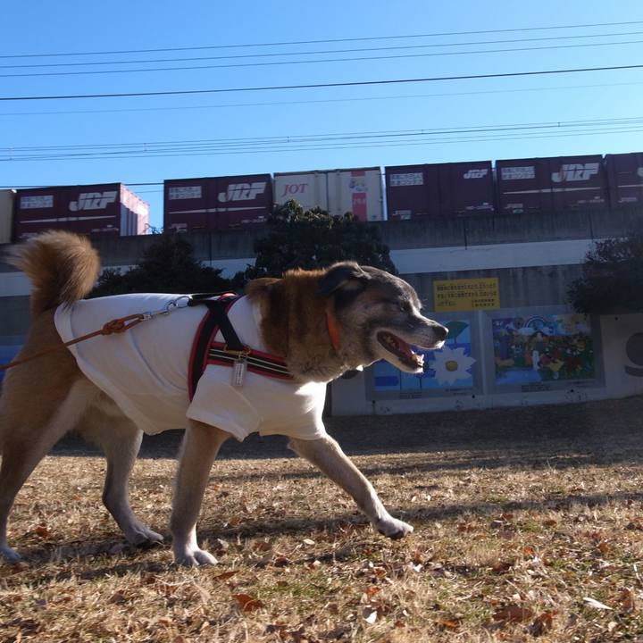 67ec1583 da51 441b 9f67 8590d28f566a 1597104034564