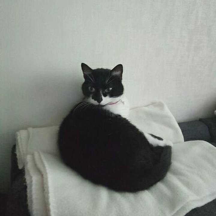 67ec2f50 154f 47fd b1e5 24c115e74c71 1541328292074