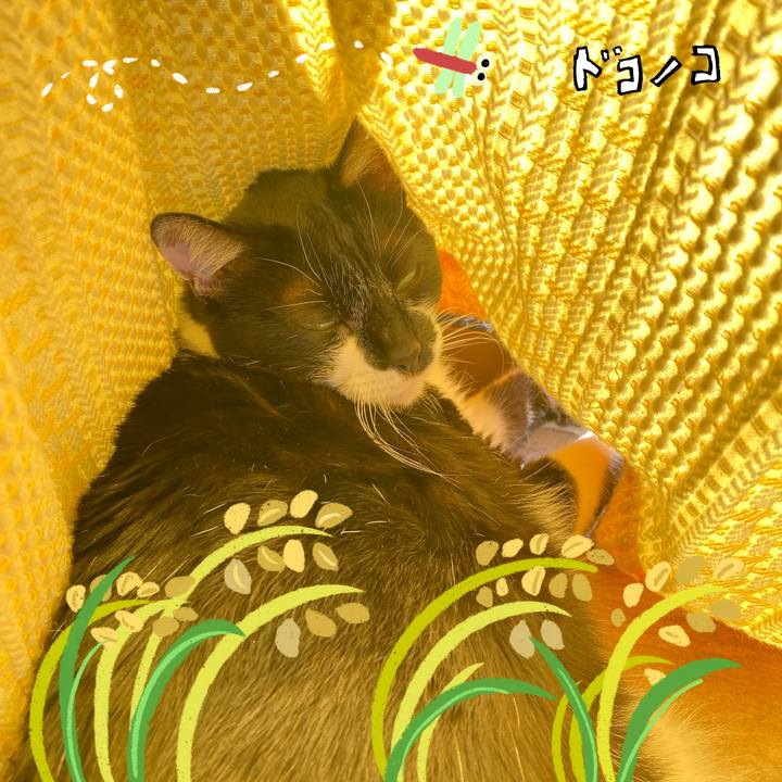 67ec2f76 47f0 4f7f b208 97219c3661b2 1761189268312