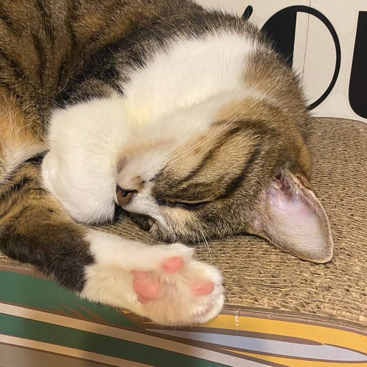 67ec3e57 cbd0 4711 822c 4f8409cef313 1632155581161