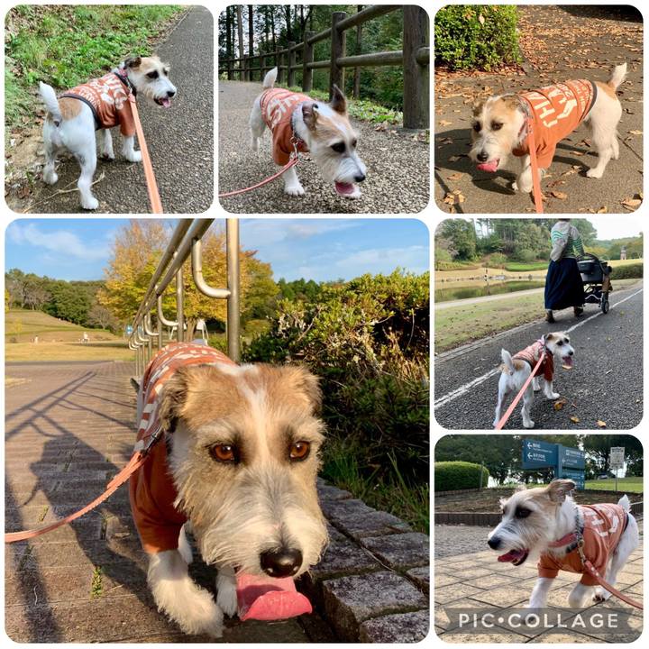 67ec43c9 2330 46a2 884c 43d2e599c413 1666597236867