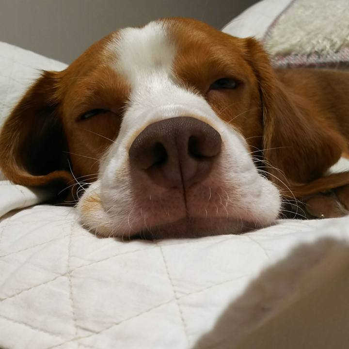 67ec4657 ce67 4ef4 8688 de3ea01fb5a8 1535632976782