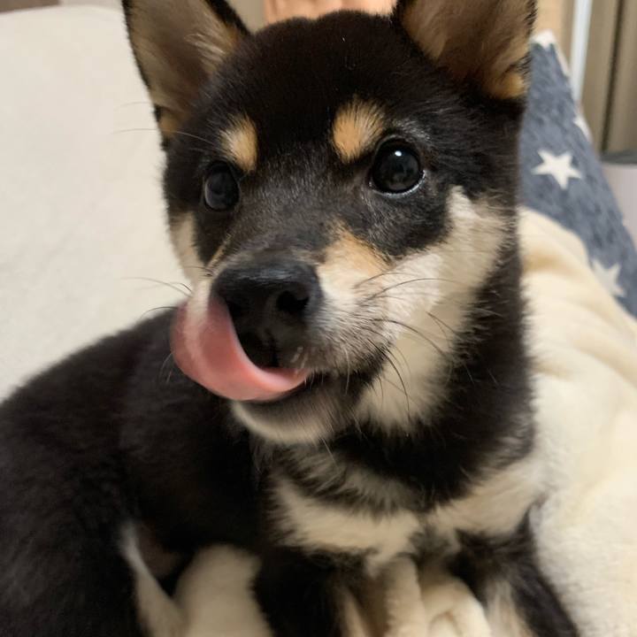 67ec7444 a921 46fc 814e cffa136c5585 1560598682405