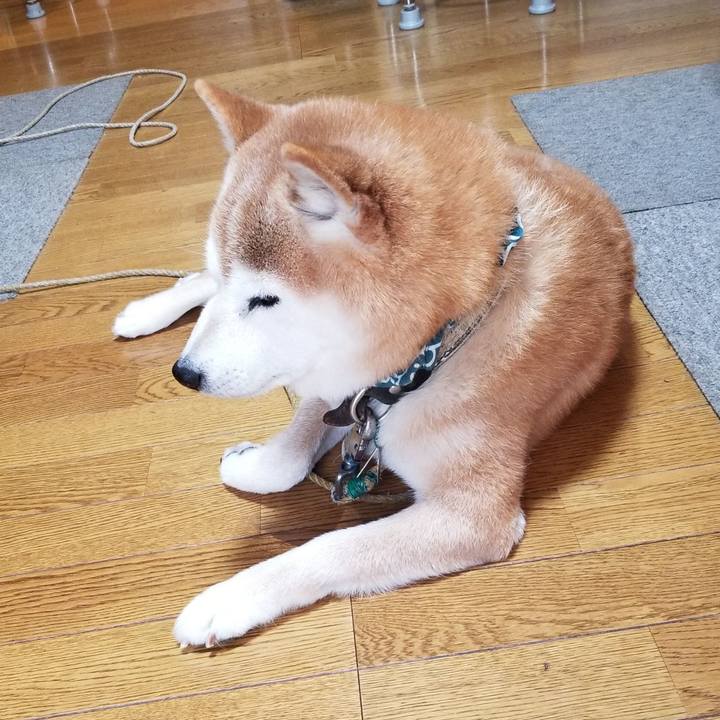 67ec7868 dd78 4328 8916 56aed3eb0b54 1703373999608