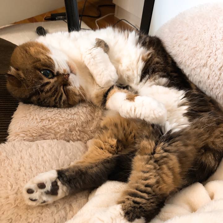 67ec99a8 9d0a 4cde 9772 4958082ad871 1552320680758