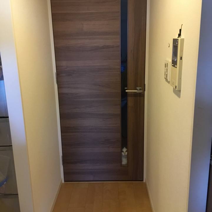 67ec9ac3 3e3a 40bc 98ee 3a38cdccc4fe 1573804300081