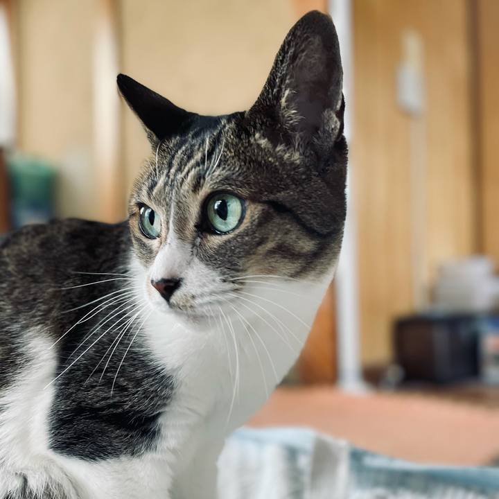 67eca63d 2647 4e04 81ba 432f95521971 1606008823551