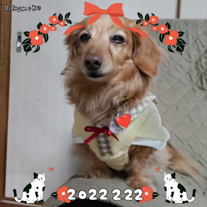 67ed28fe fb7d 4b8d b157 63521c31f411 1645512773725