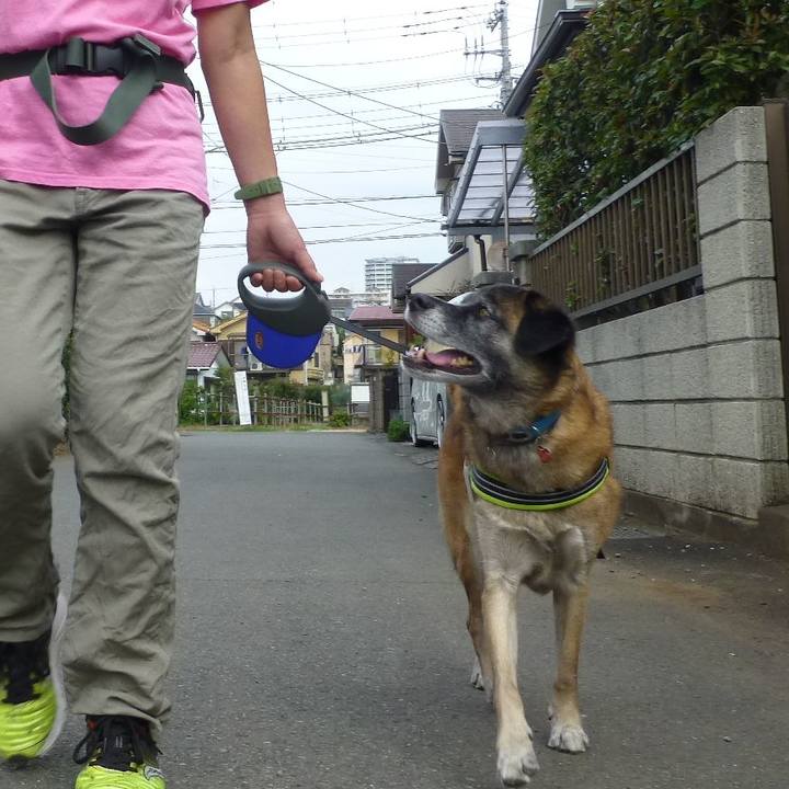 67ed3432 fddb 4340 bc54 02129b98eff1 1580735944819