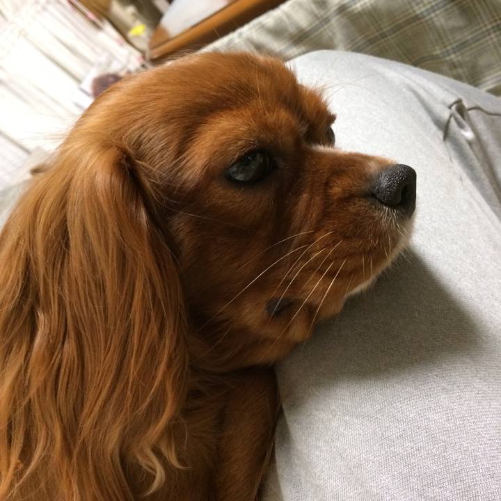 67ed369c e4b1 4b9f b8d0 22d7093e4683 1515832573032