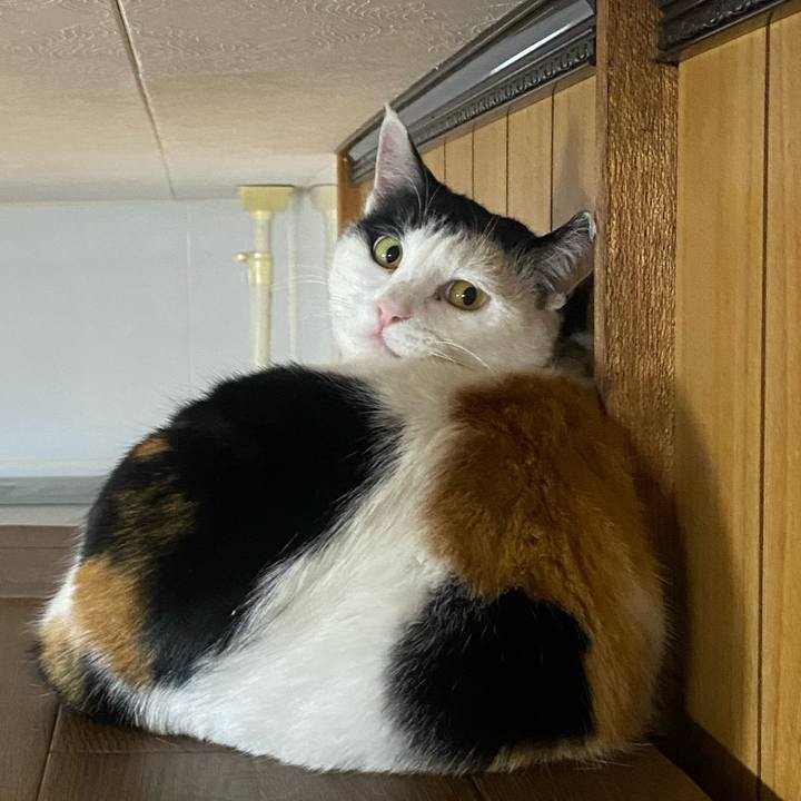 67ed4117 b1cd 43d3 8bfe bb2820fdbc05 1644527597750