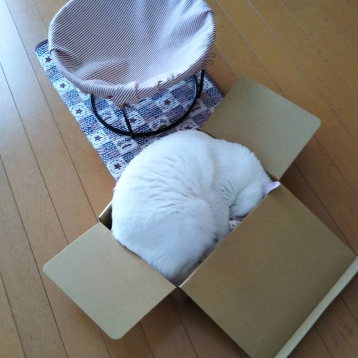 67ed426e 80a7 4754 8a5c eac1a9fe223a 1564032692026