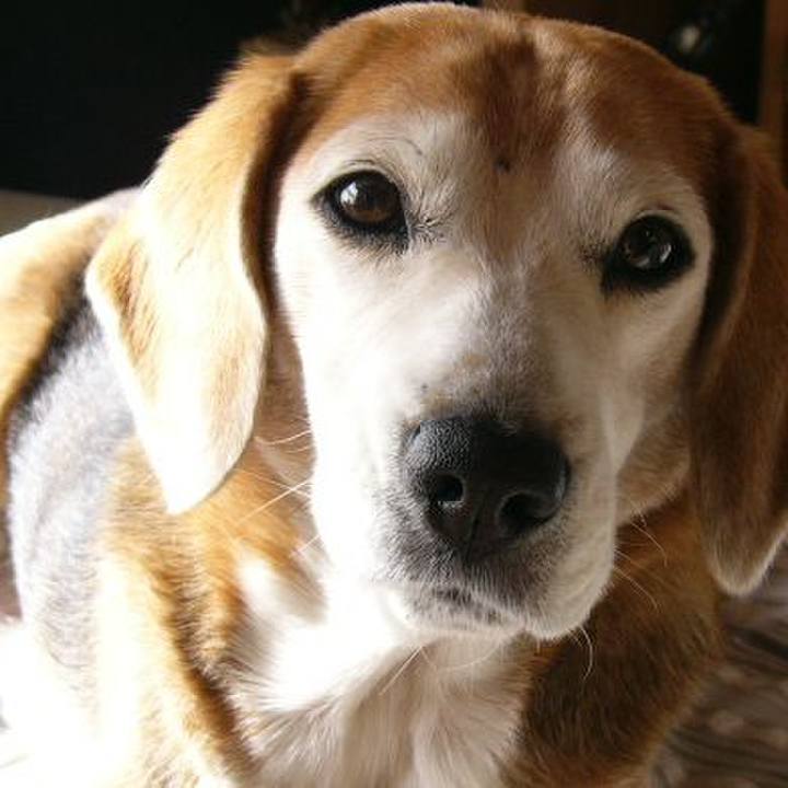 67ed571a 9dcc 45b6 98b0 f1b1f7b2df0b 1649465563218