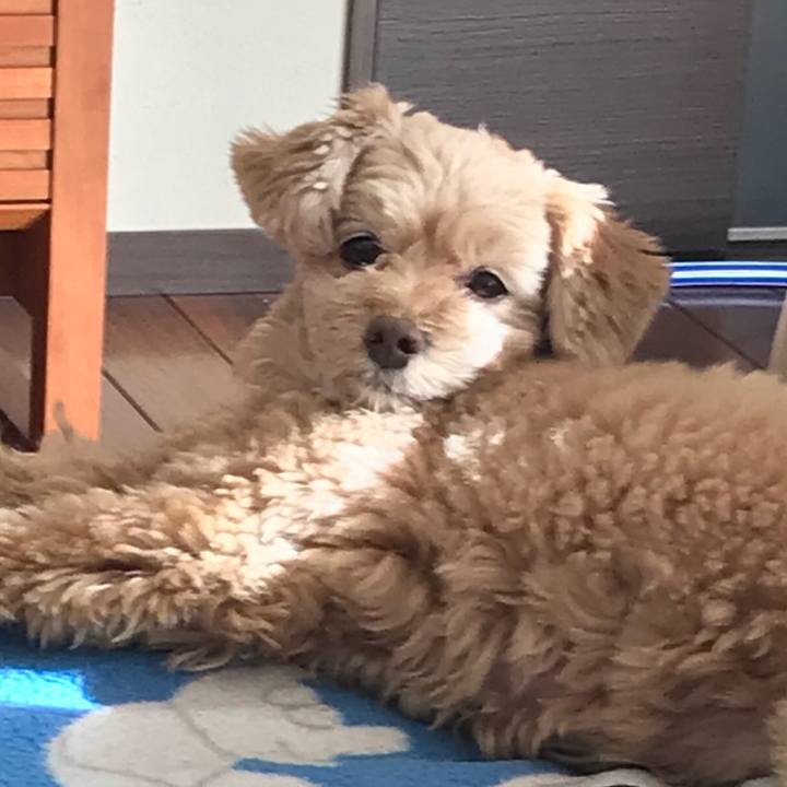 67ed7063 0d77 4031 819d df9d7c55a6e4 1517808110832