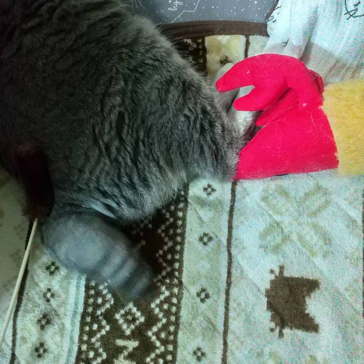 67edc0b4 2f0c 4504 8547 a20f597ad5b9 1680167952789