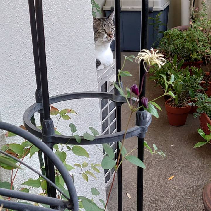 67ee0af9 6317 477a 8e61 9cfa91d8c948 1623215514216