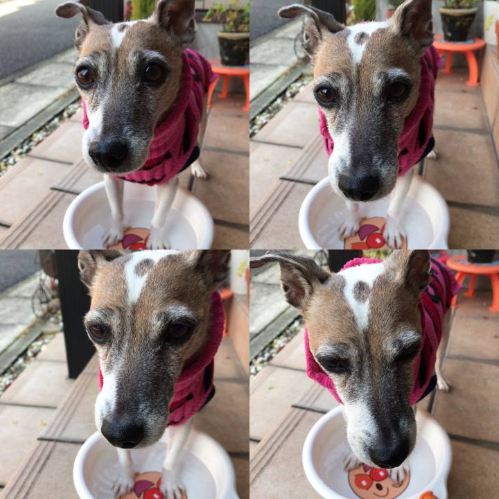 67ee37b7 8aa1 426c 8157 0f8fc1867b41 1515465401726