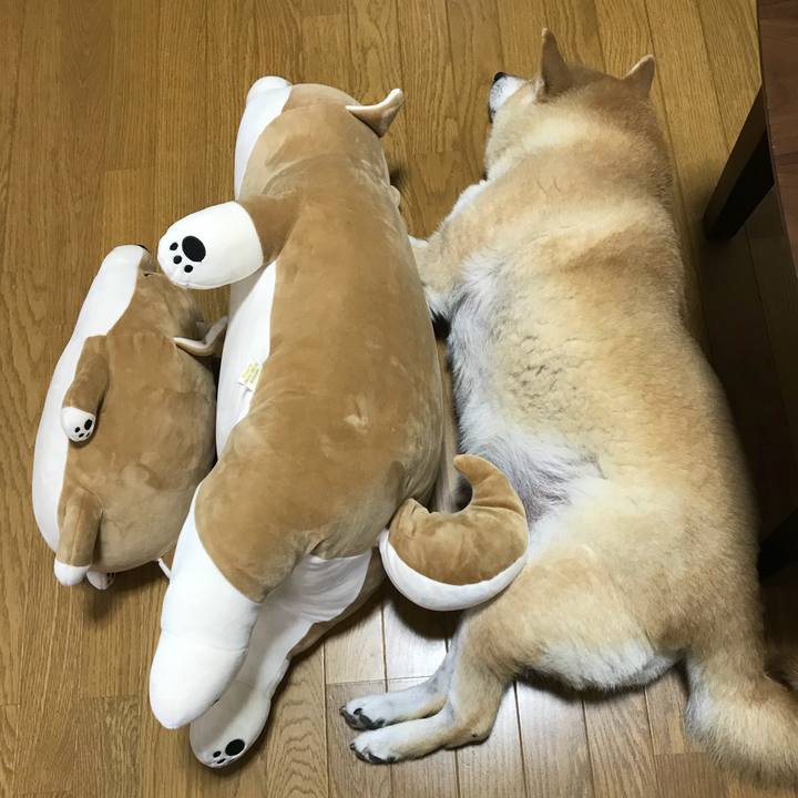 67ee4204 b209 4e8e 81d8 43699ed8baba 1529645266351