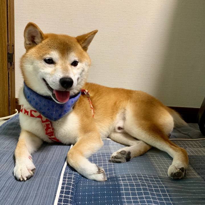 67ee8461 1fca 4f12 97a6 f4f98f21a963 1568273589902