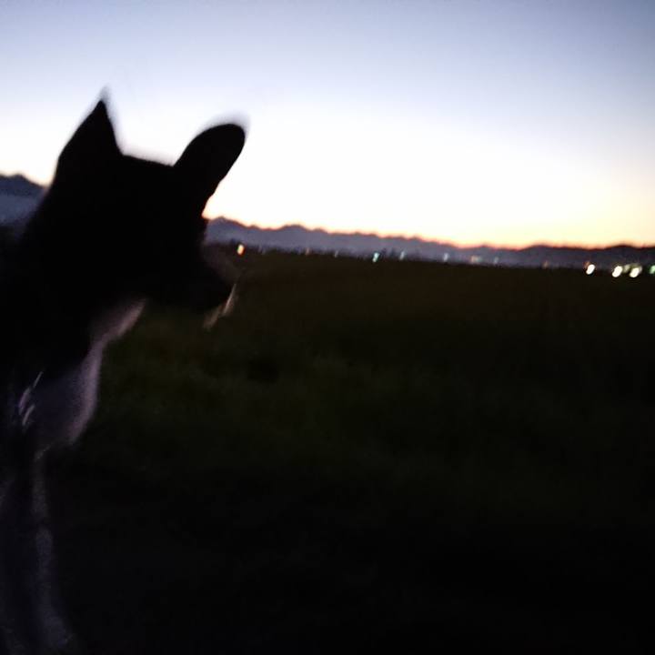 67ee972f 4a95 4b10 bc70 a4aa272a333b 1572950165151