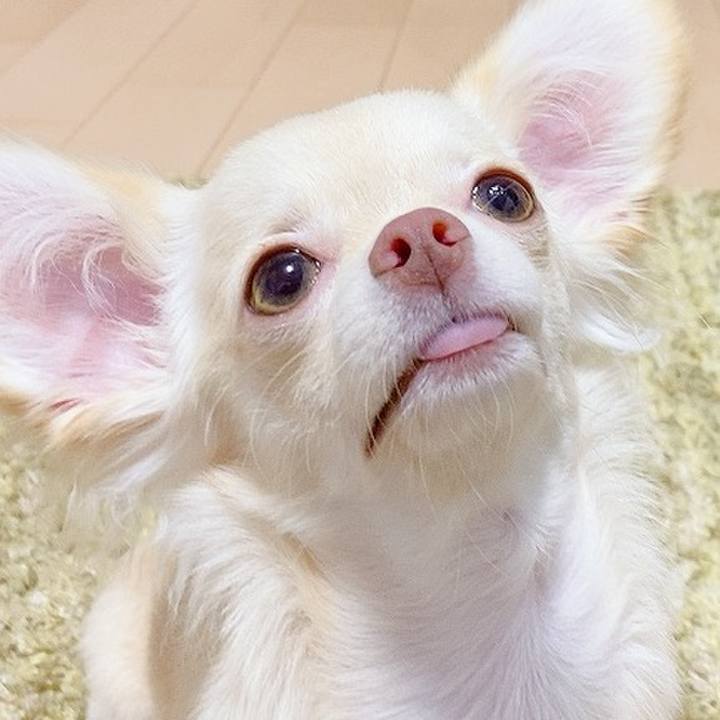 67eeb6d0 e182 4e7f bbee d00cd8bfb3ba 1596844103864