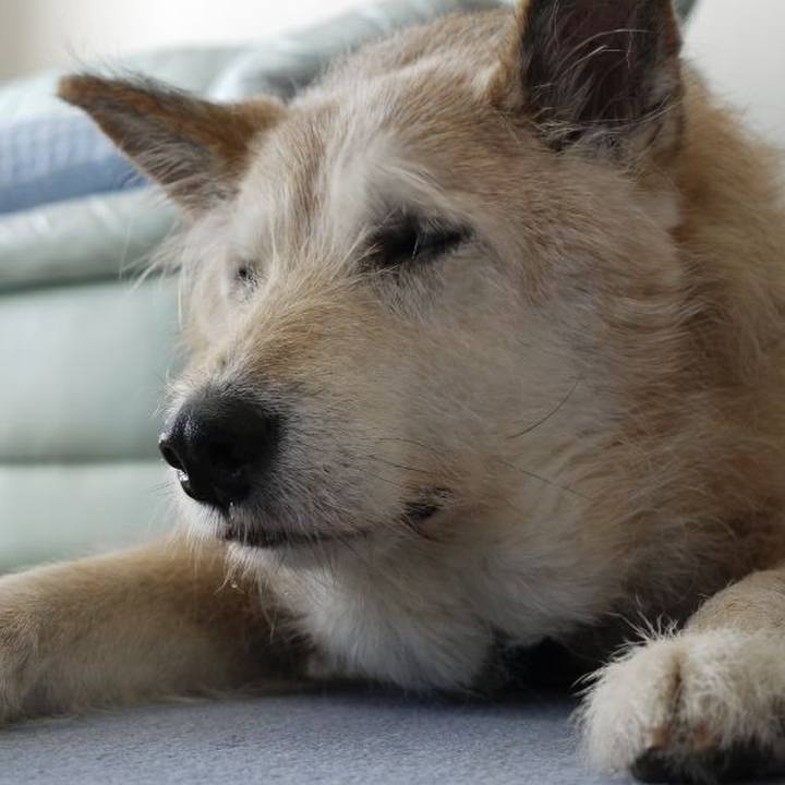 67eebc0a 4b16 43b4 bb37 1e4da3417b8f 1578653434585