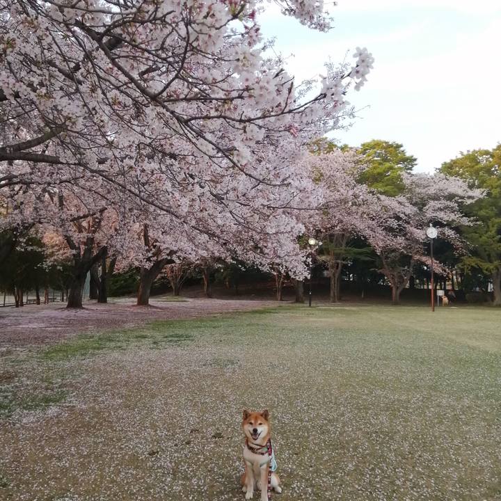 67eec007 35d8 447a aa2b 048651f5d3c6 1680331205067