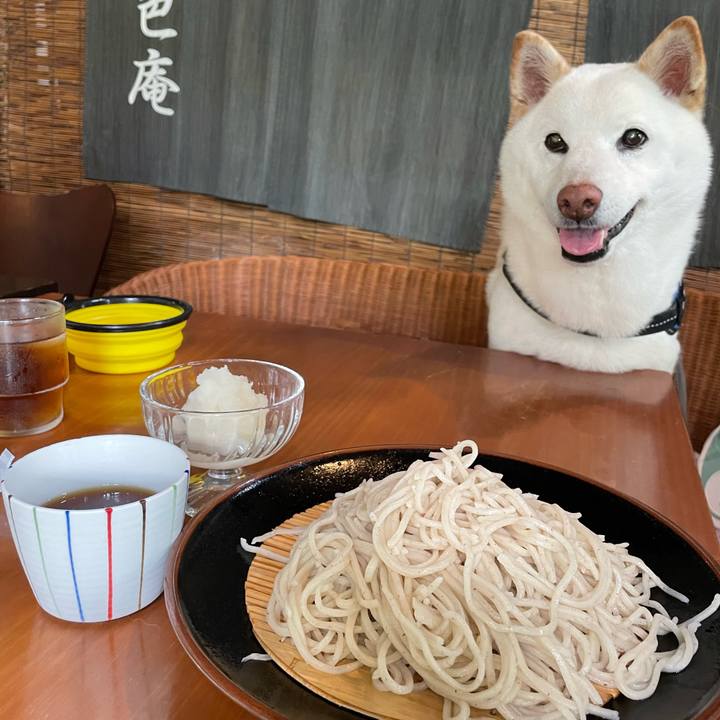 67eecf5d dd81 430e 9ffb 34b2769aa00e 1652520326266