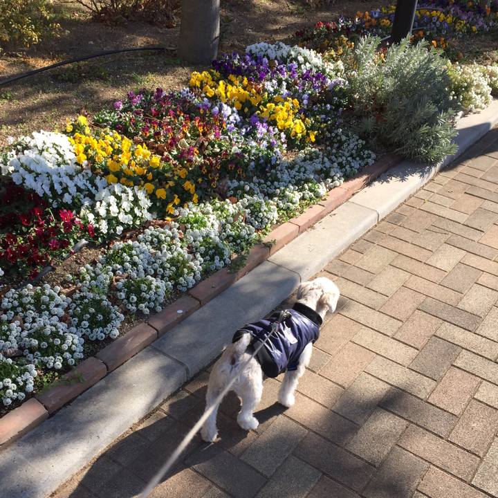 67eef699 ae5a 4c22 b704 e7310649bee7 1546676644474