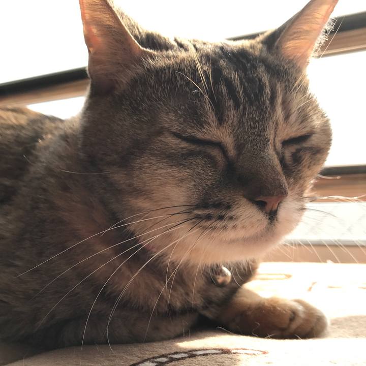 67ef048e c0ef 4cb8 b601 38f9a4b6c48e 1516509929519